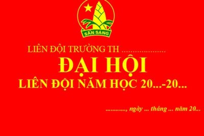 Trường Tiểu học số 2 Bình Châu tổ chức Đại hội Liên đội
