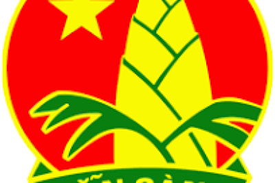 Liên đội Trường Tiểu học số 2 Bình Châu thực hiện Công trình măng non.